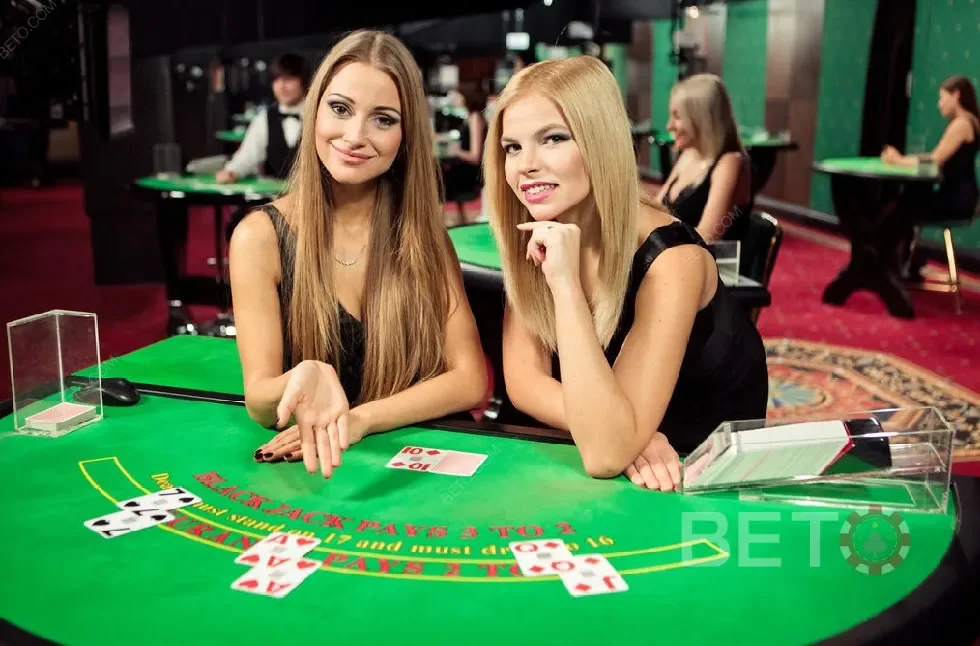 Dealer memandu permainan meja live dengan kartu dan panel informasi