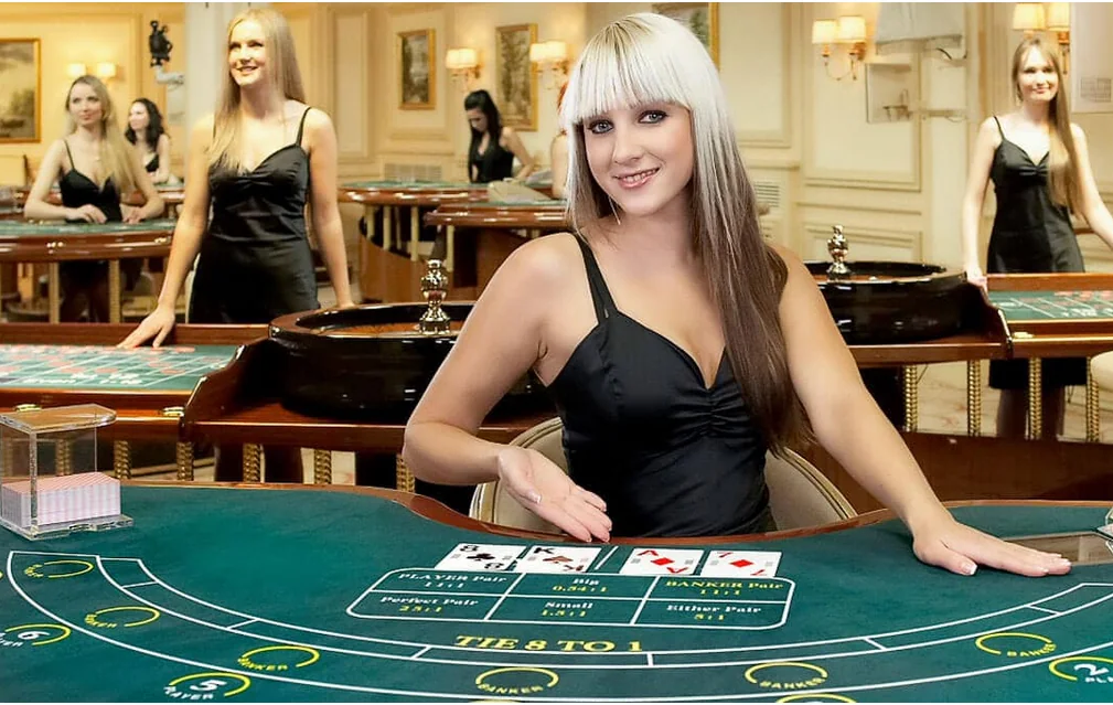 Tampilan meja kasino live dengan dealer dan antarmuka permainan
